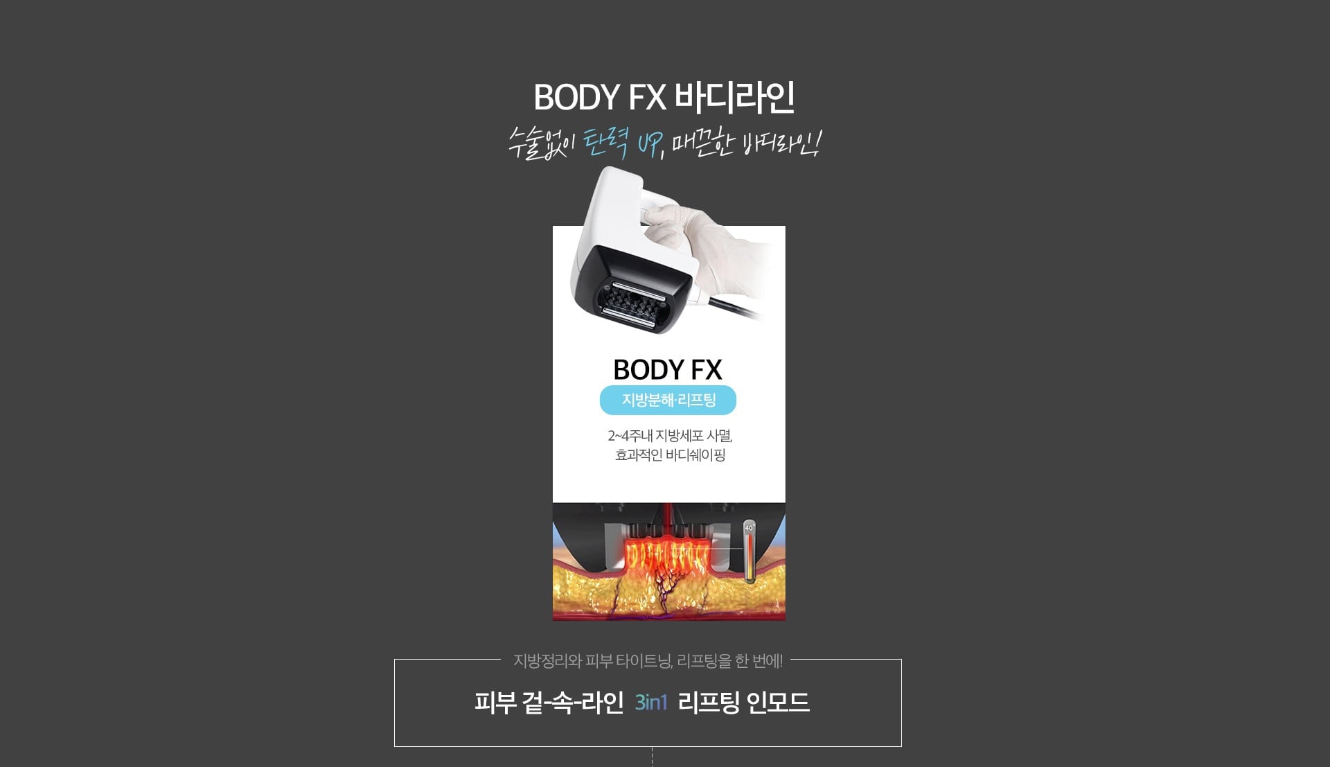 BODY FX 바디라인 마곡피부과 닥터에버스 BODY FX 바디라인 마곡피부과 닥터에버스