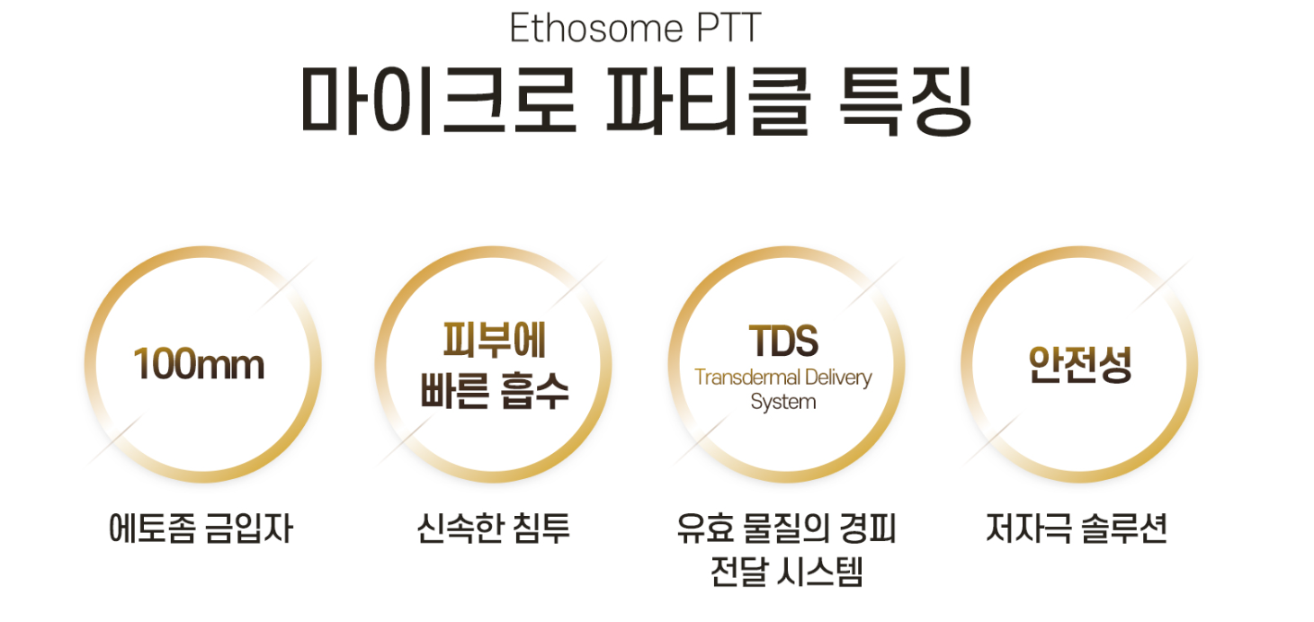 에토좀PTT 특징 마곡피부과 닥터에버스 에토좀PTT 특징 마곡피부과 닥터에버스